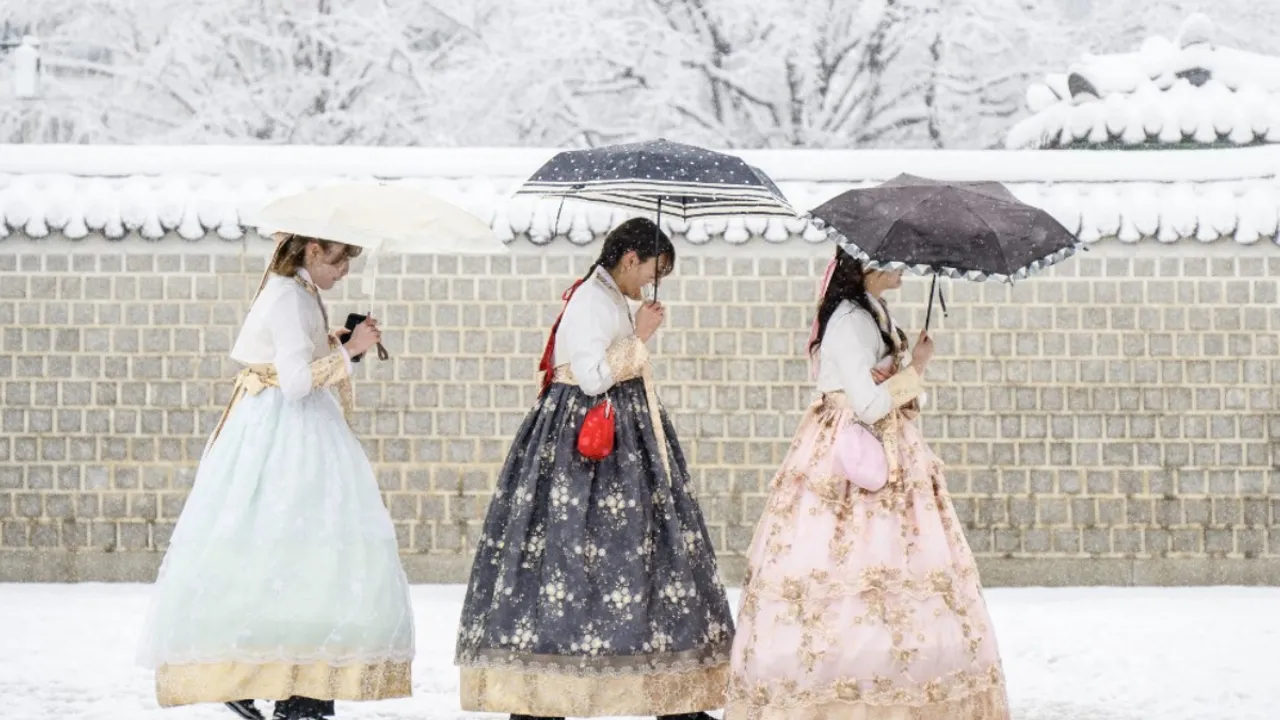  Seoul hit by heaviest November snowfall, disrupting flights and commuting Photograph:(AFP) 