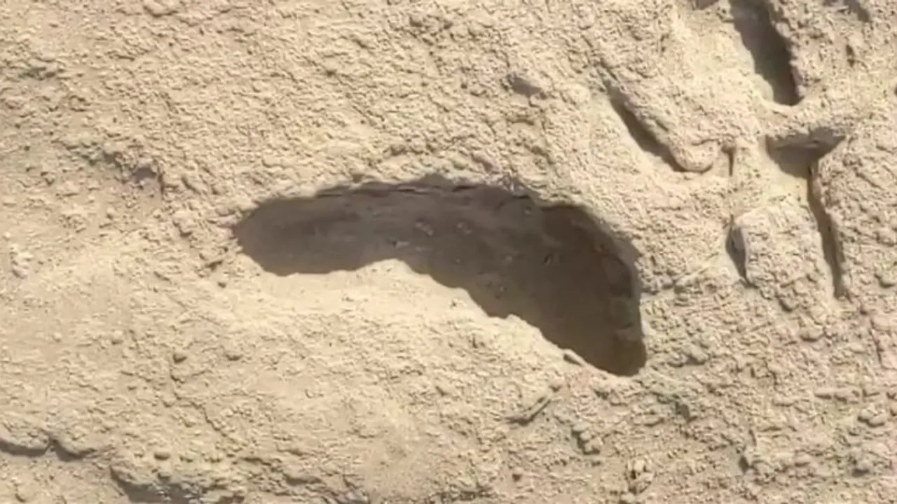  Footprints in sand Photograph:(Others) 