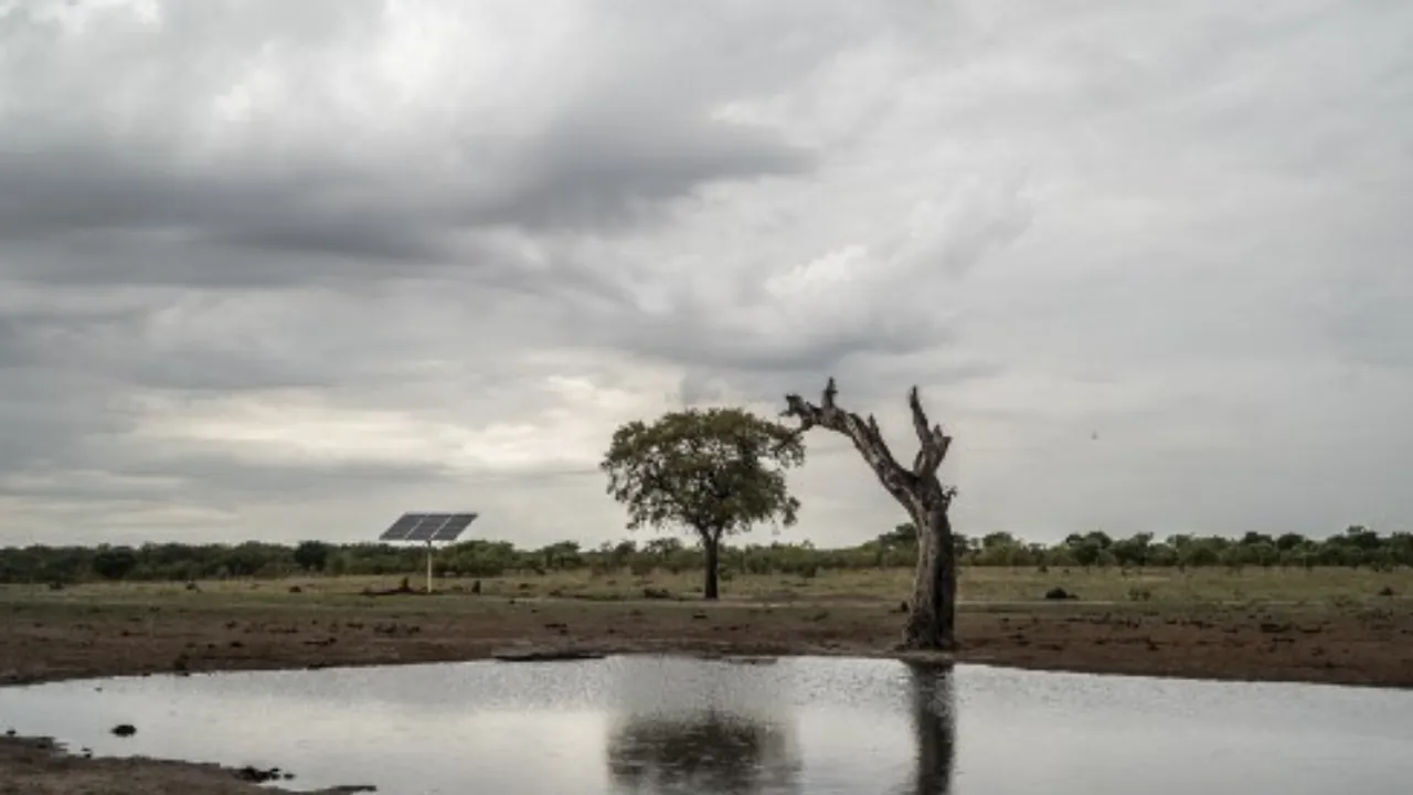  Study finds toxic algae responsible for mass elephant deaths in Botswana Photograph:(AFP) 