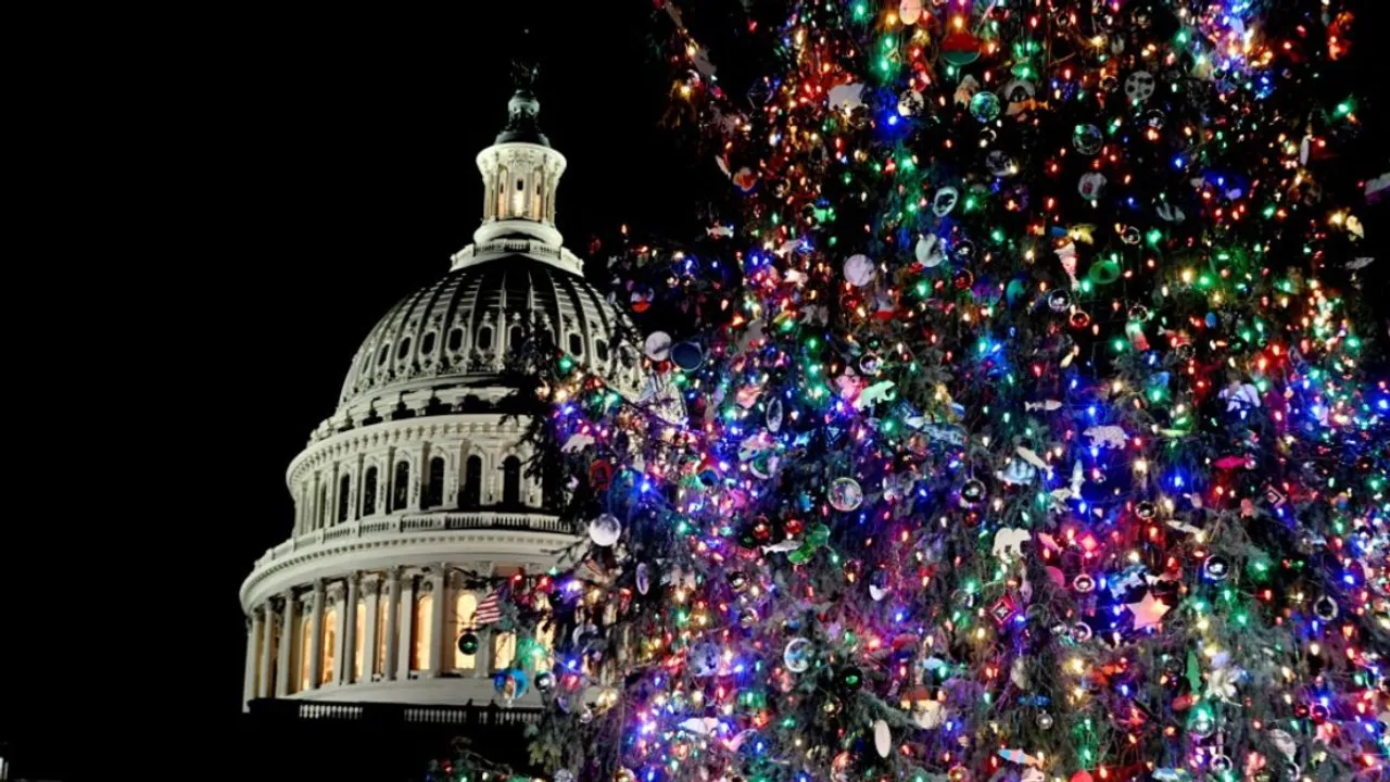  The US Capitol Christmas Tree is lighted on Capitol Hill in Washington, DC, on December 3, 2024.  Photograph:(AFP) 