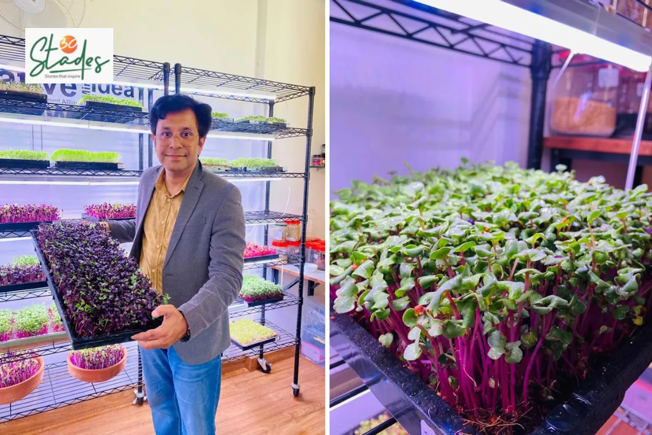 Mohit Nijhawan at his microgreens unit in Chandigarh