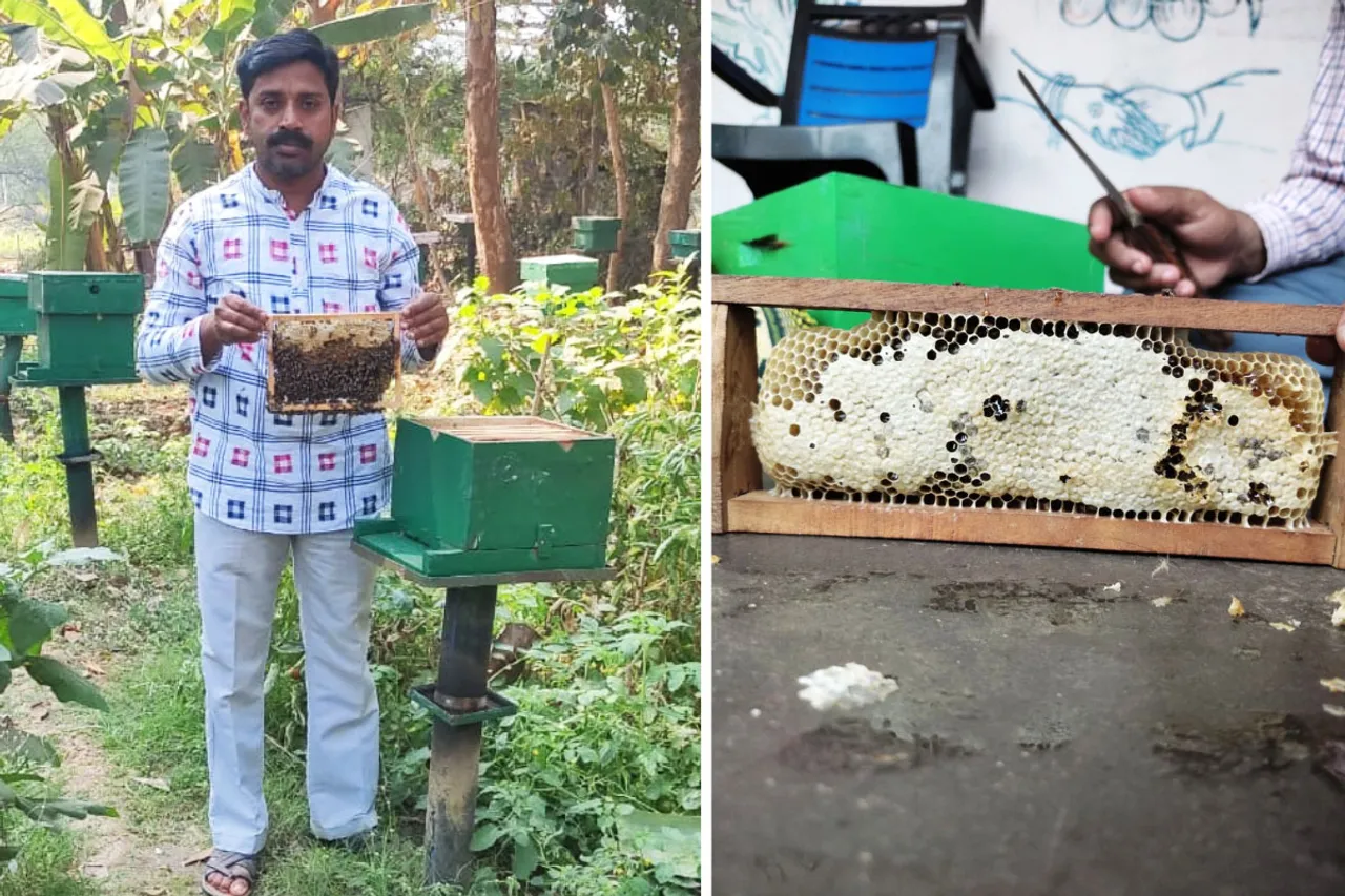 Bijay Kumar Bir quit his job for beekeeping in Angul, Odisha