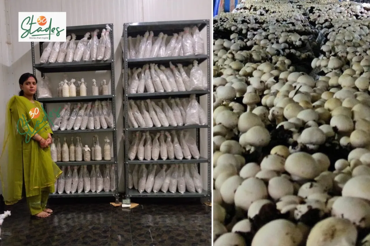 Rama Kumari Pandey at her lab (left) and mushrooms grown from her lab's spawns (right)