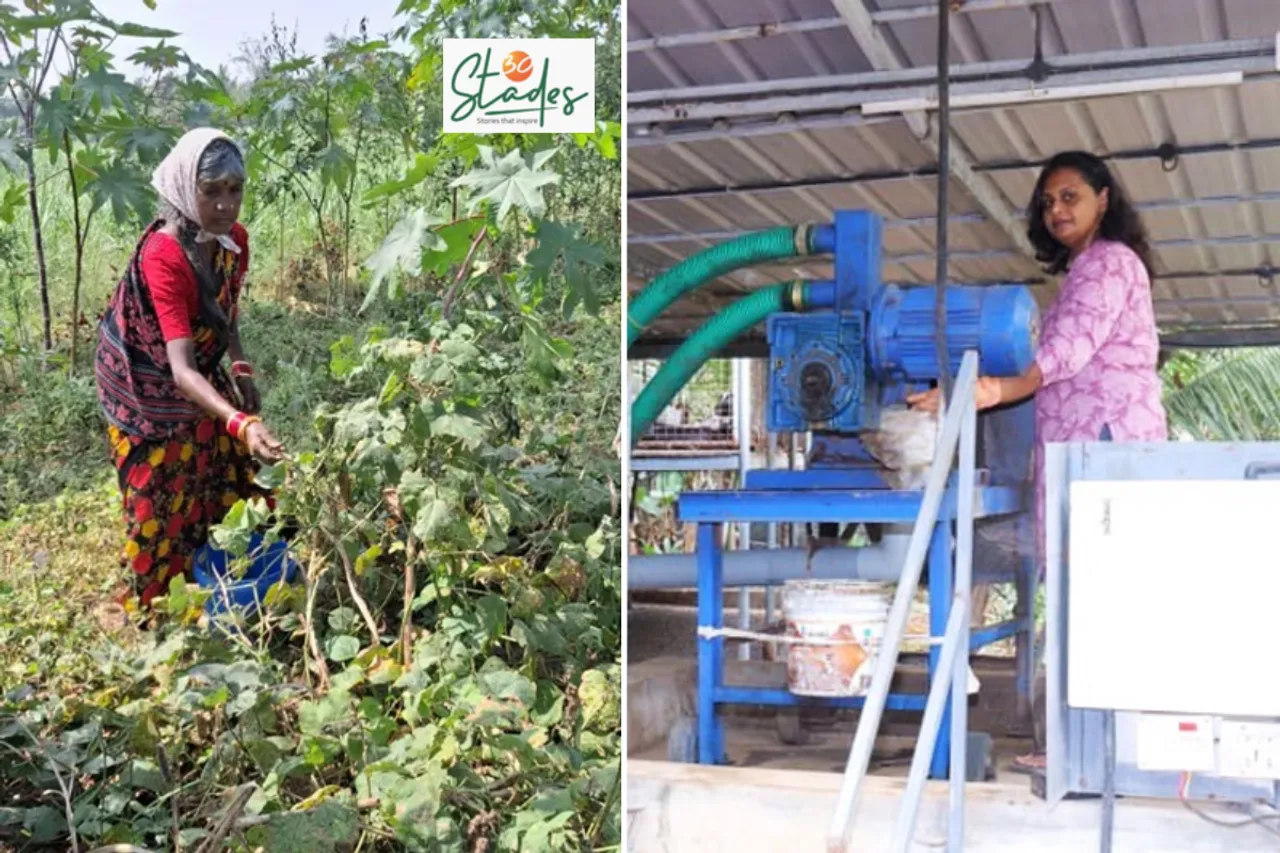 Greening Barren Lands and Women Entrepreneurs