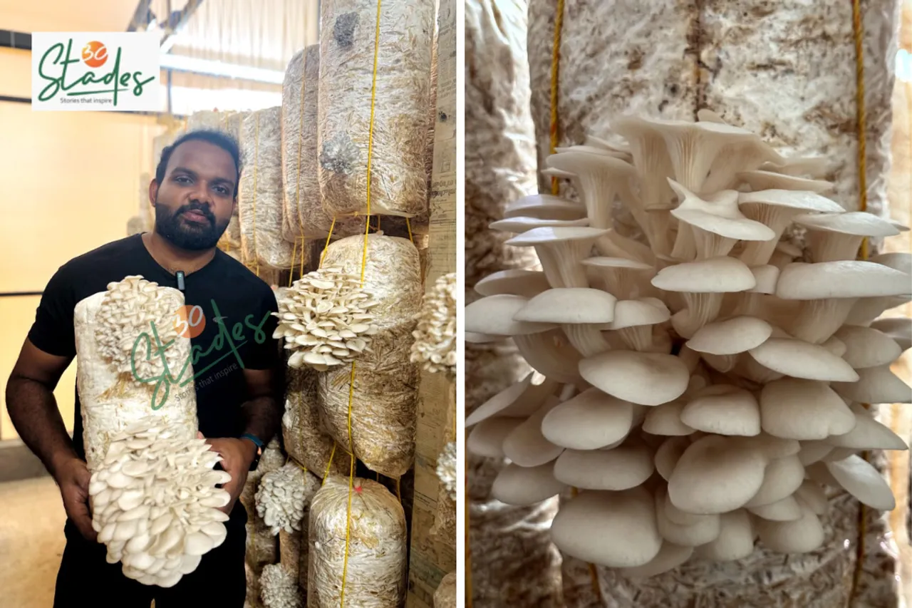Jasal K set up his hi-tech oyster mushroom unit in Kozhikode in 2018