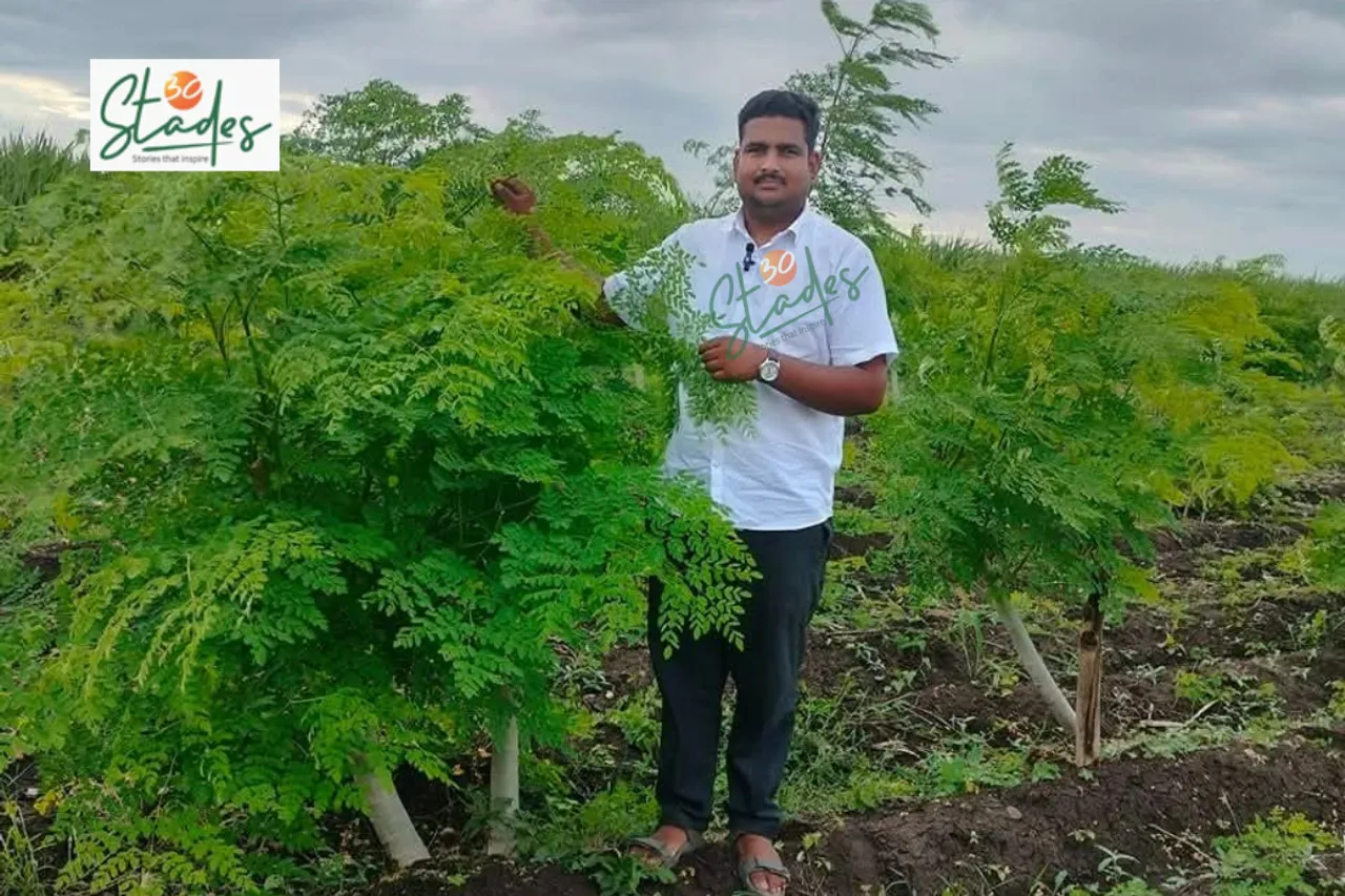 Sagar Khare grows moringa for its leaves and drumsticks on his farm in Solapur, Maharashtra