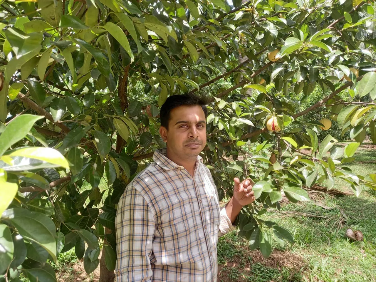 K Ranjit Kumar, the nanotechnology engineer who transformed nutmeg farming in Pollachi, Tamil Nadu