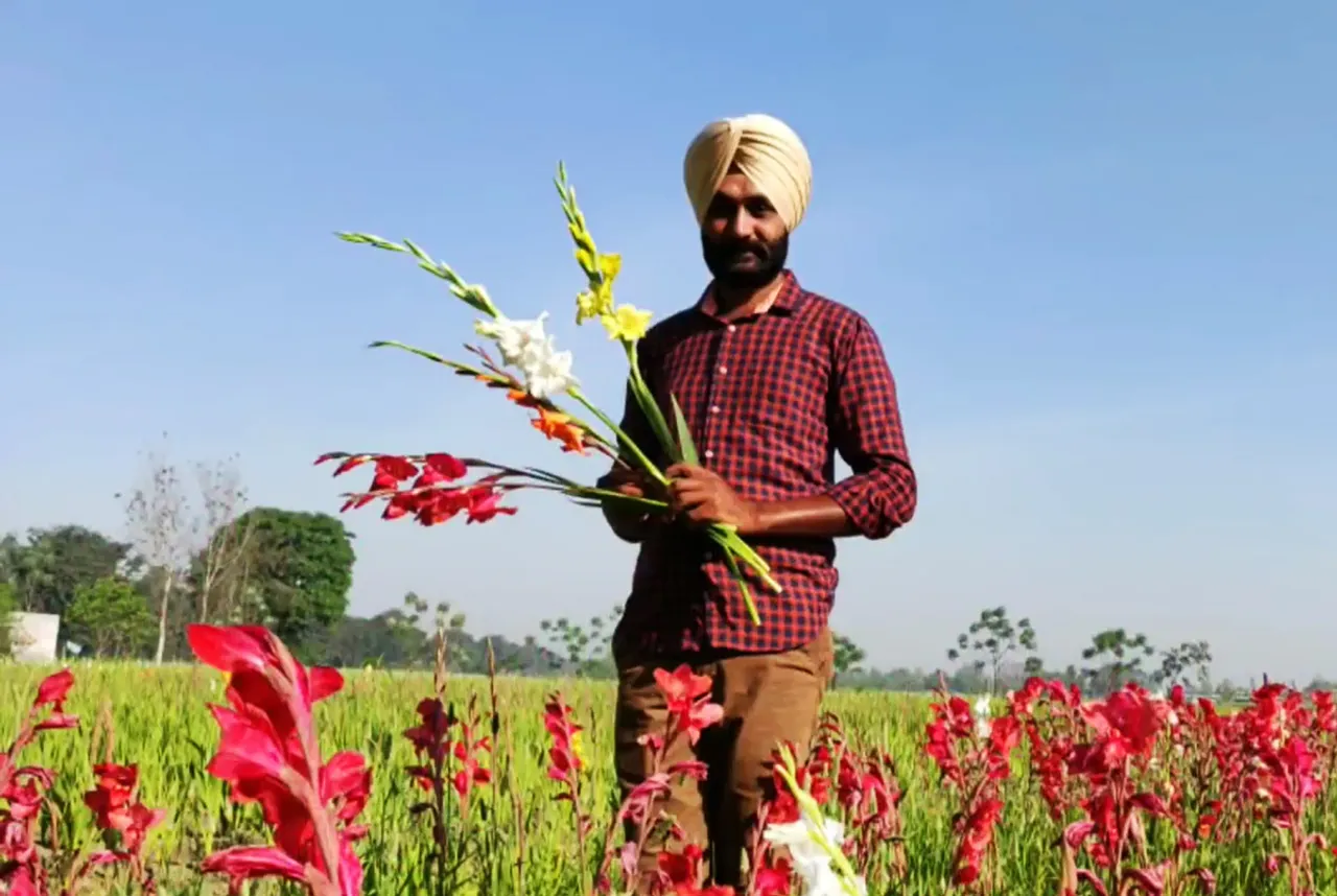 Gurwinder Singh Sohi at his farm in Nanowal village, Punjab