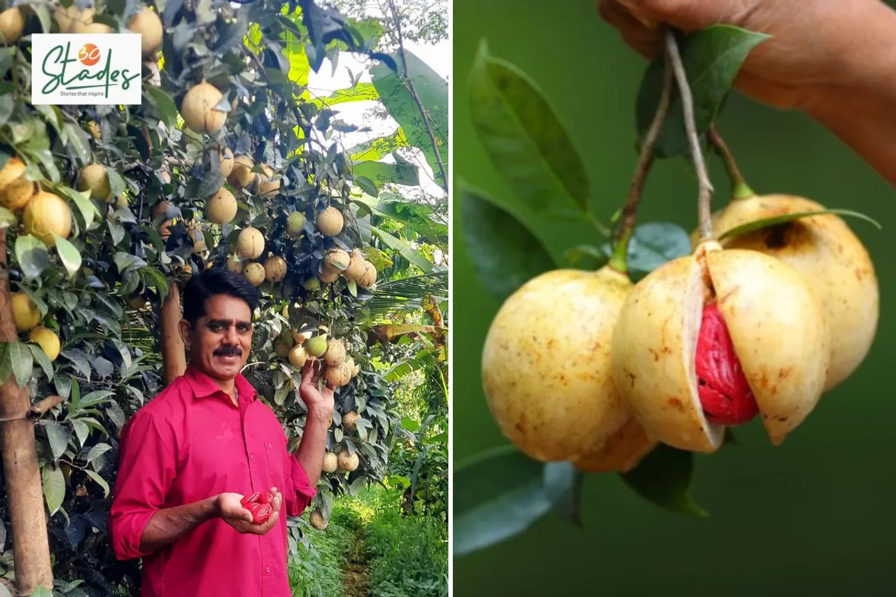 Shajan Varghese at his farm in Indukki, Kerala 