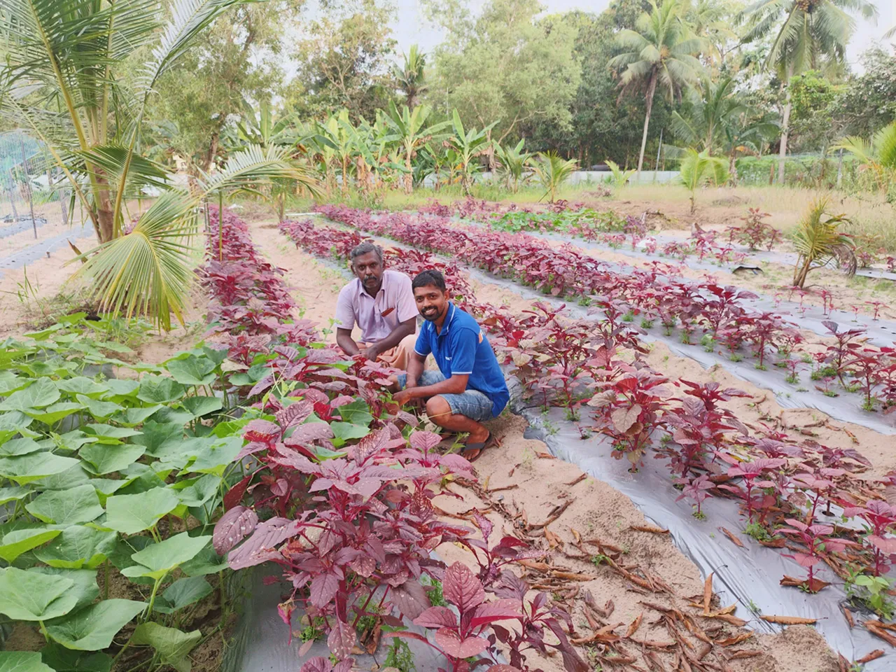 Renjith Das (left) and Rajesh KG (Right) at their farm in Alleppy, Kerala 