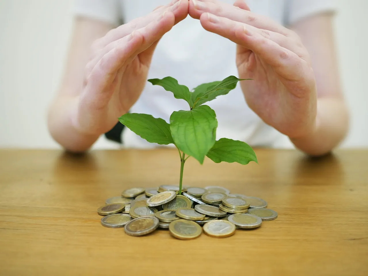 Seven ways to save and grow your money