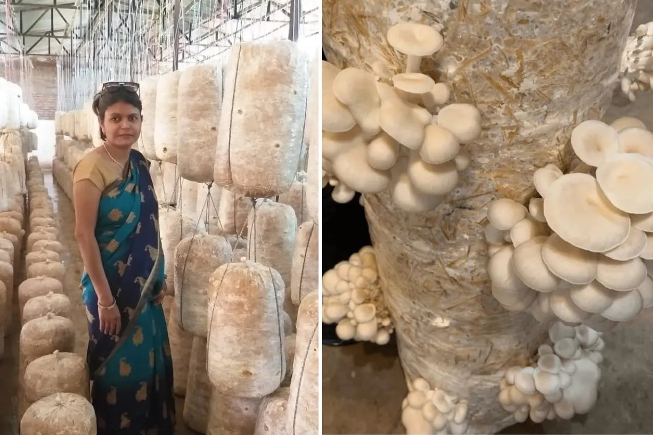 Nidhi Katare, mushroom farmer and entrepreneur, at her unit in Gwalior, Madhya Pradesh