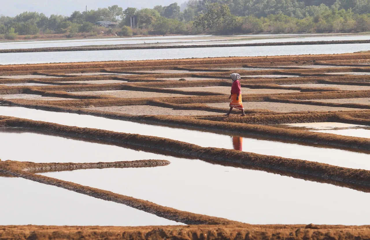 Sanikatta: The brown salt village of India