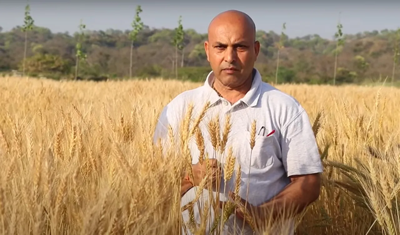 Punjab: Farmer turns barren land into organic farm of wheat, fruits and vegetables