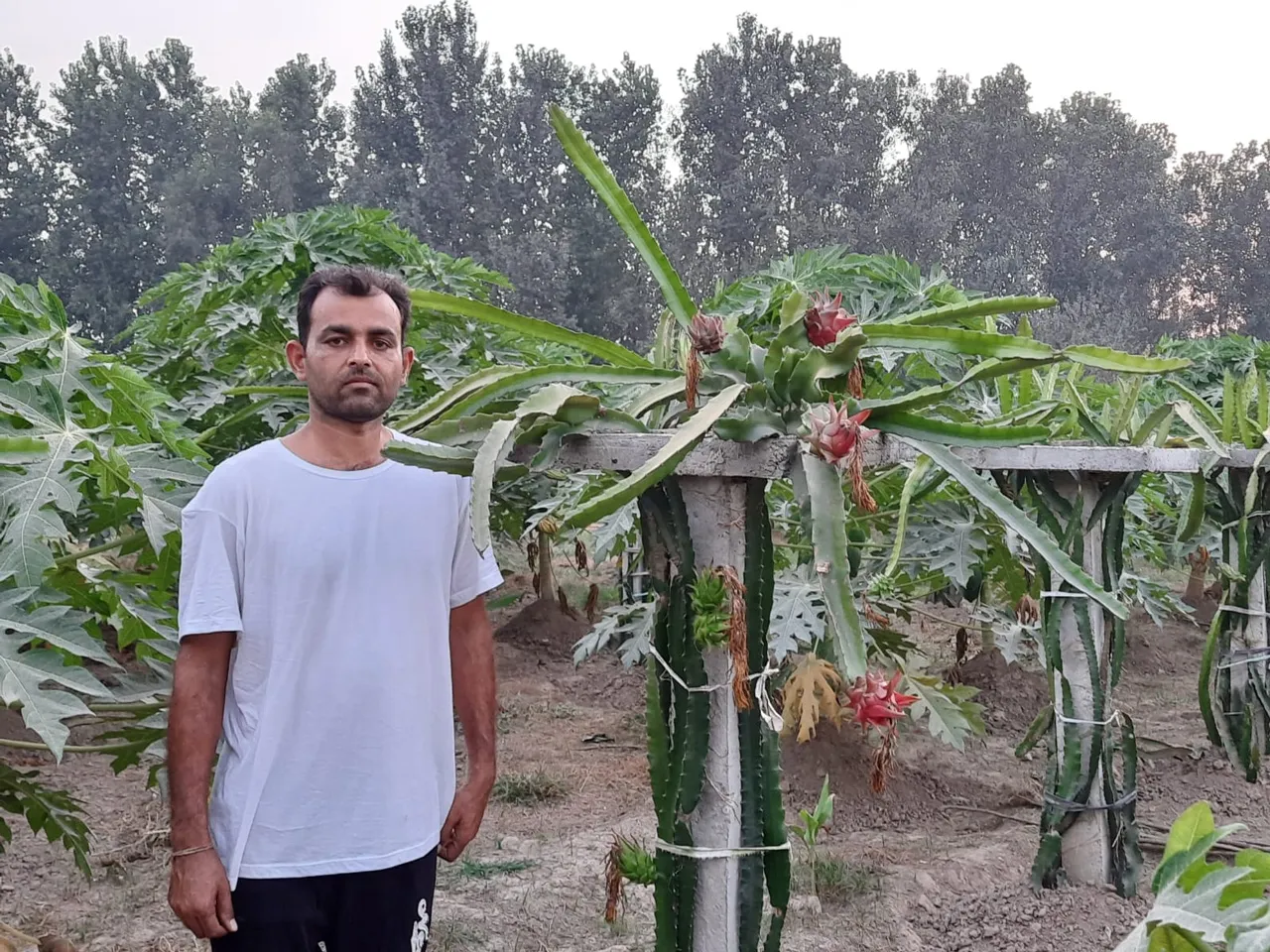 Raman Salaria at his farm in Pathankot, Punjab. Pic: Courtesy of Raman Salaria