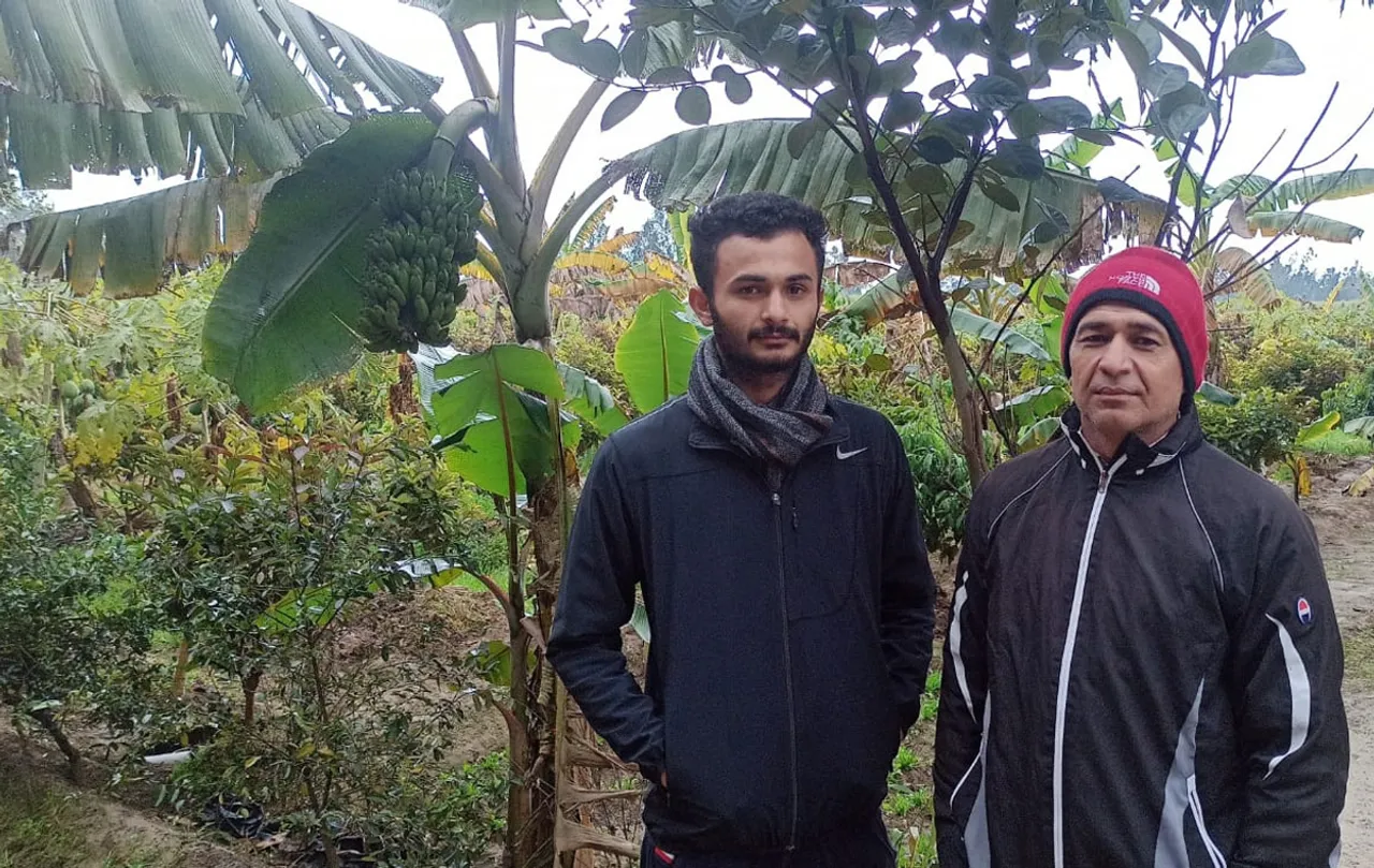 How this teacher-turned-farmer created a profitable food forest in Shamli