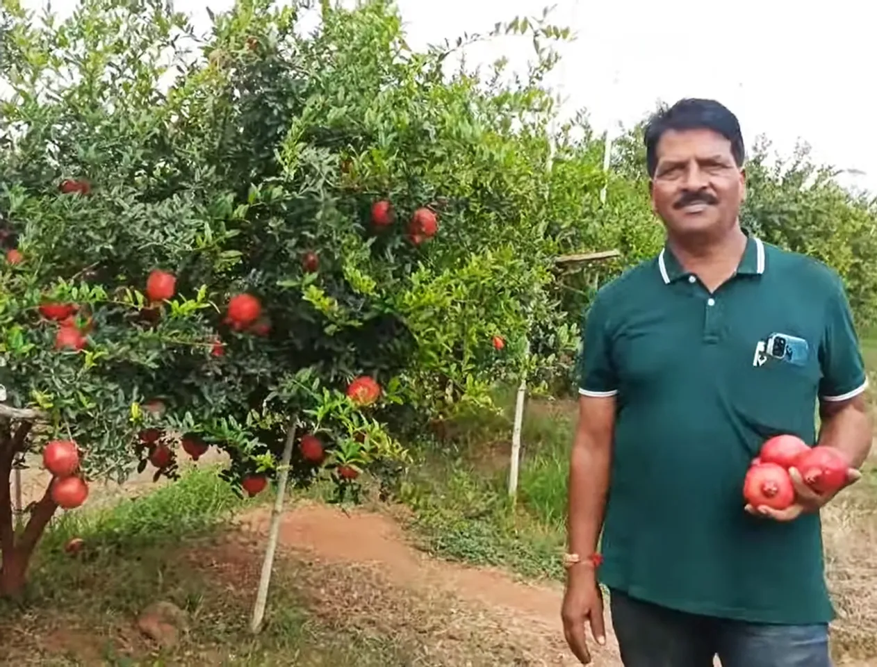 Ekanthraj at this farm in Kadur, Karnataka