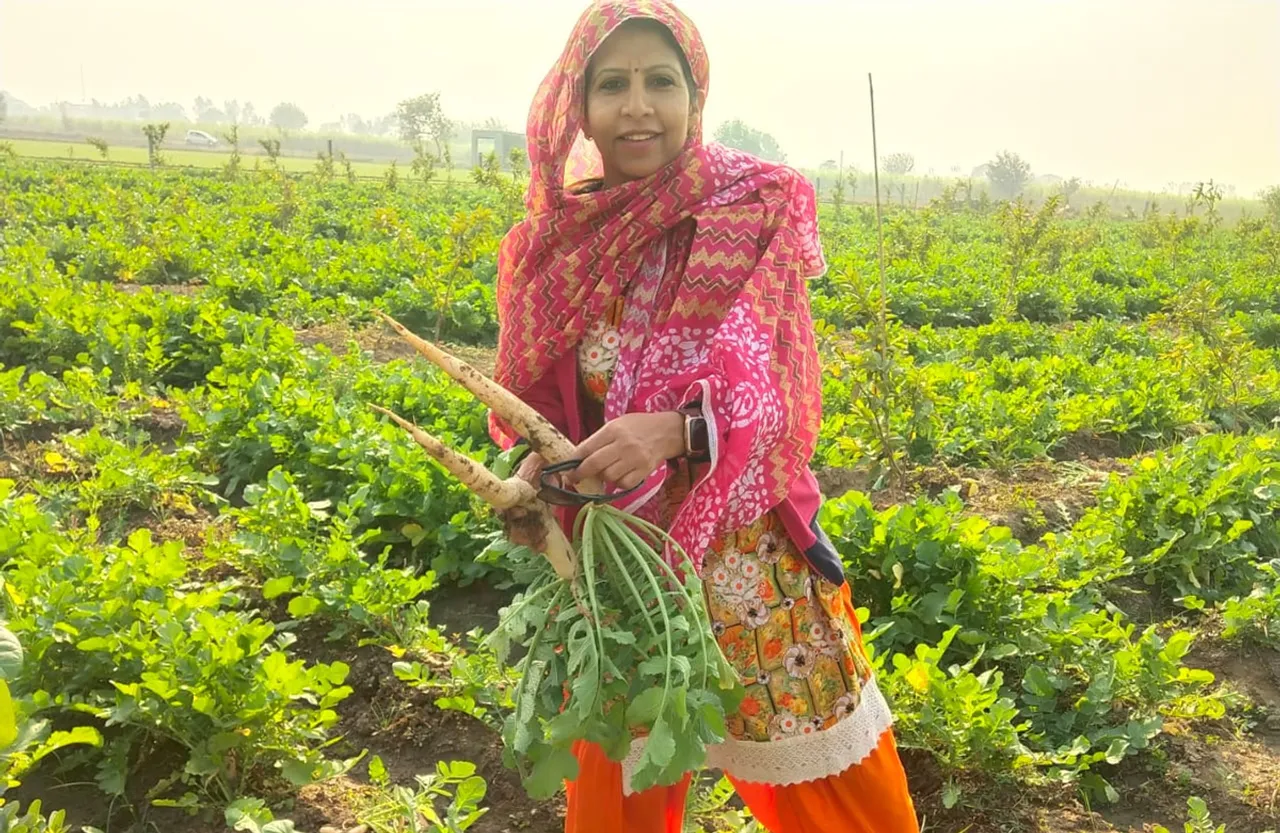 Amita Malik, a counsellor in a Delhi government school, took up organic farming in 2021