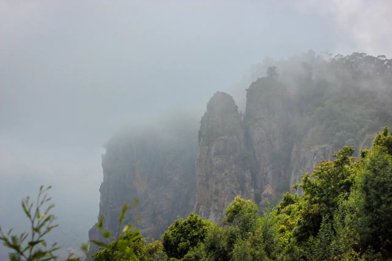 Childhood in Kodaikanal sparked a fiery passion in Priyadarshini to protect and conserve the environment 