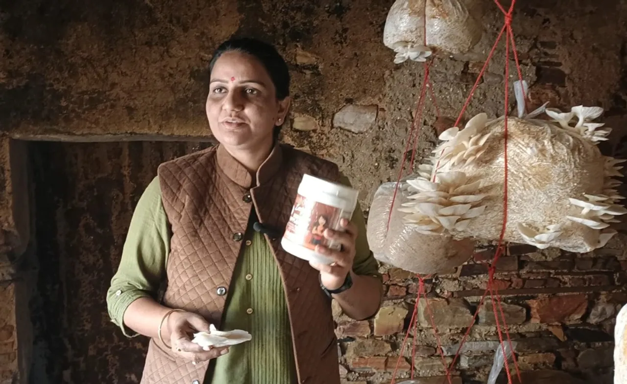 How this Jaipur professor set up Rs 1 crore mushroom business