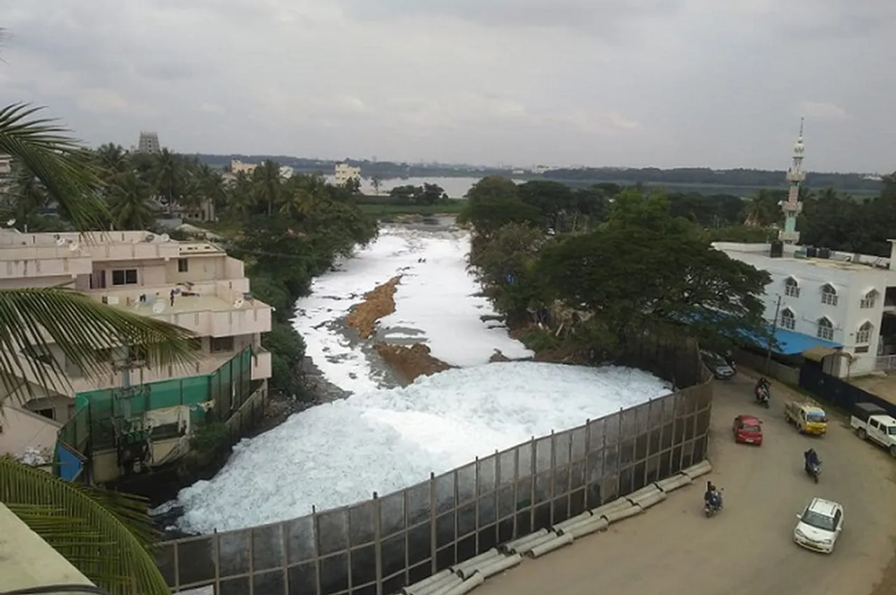 Bellanduru Lake, the largest and the most polluted of the remaining lakes in Bengaluru 