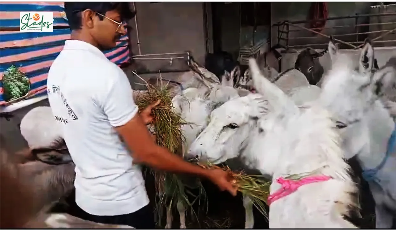 This Gujarat man earns Rs 16 lakh per month from donkey milk business