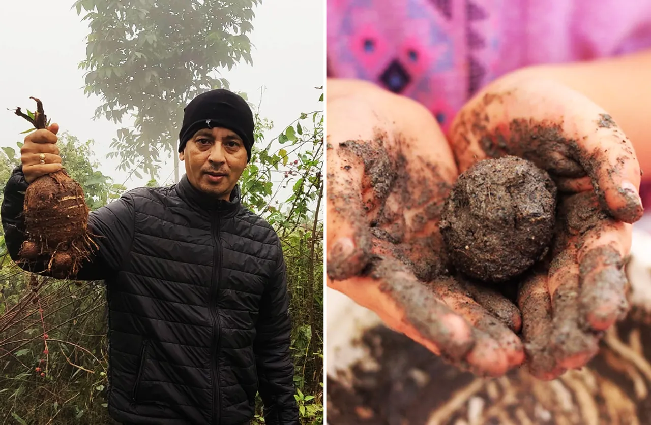 How to make seed bombs for natural farming
