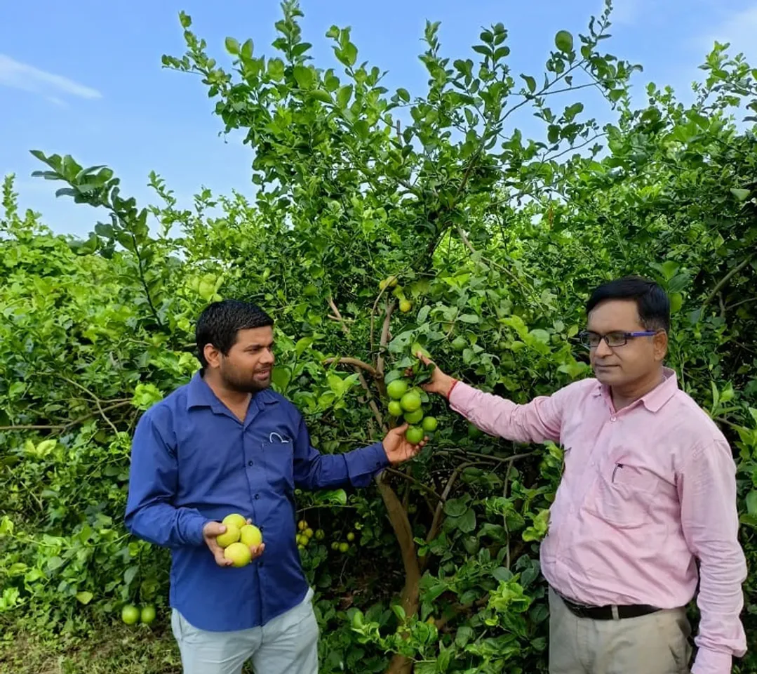 Anand Mishra (right) cultivates lemon, guava and 17 other types of fruits at his organic farm in Raebareli