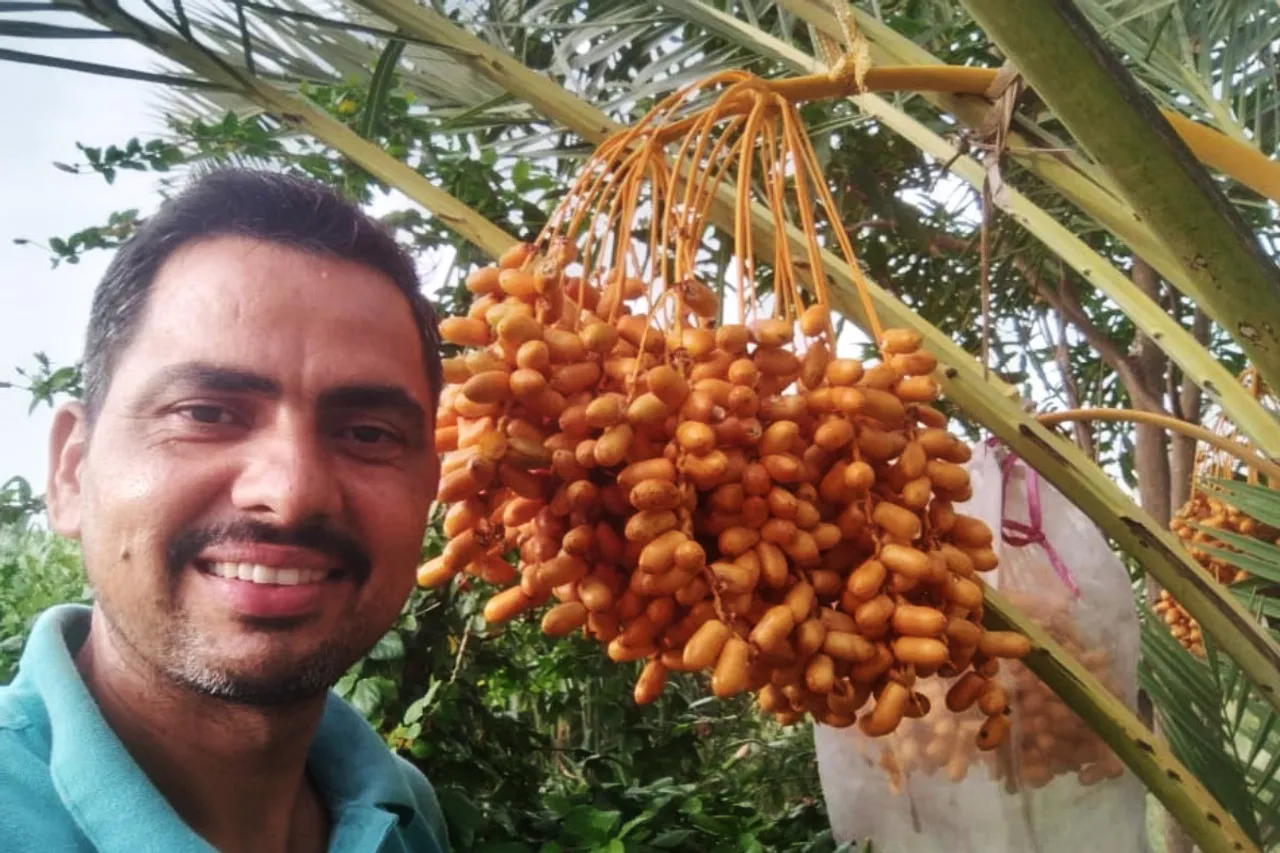 Ex-NSG commando earns Rs6 lakh per acre with organic date farming