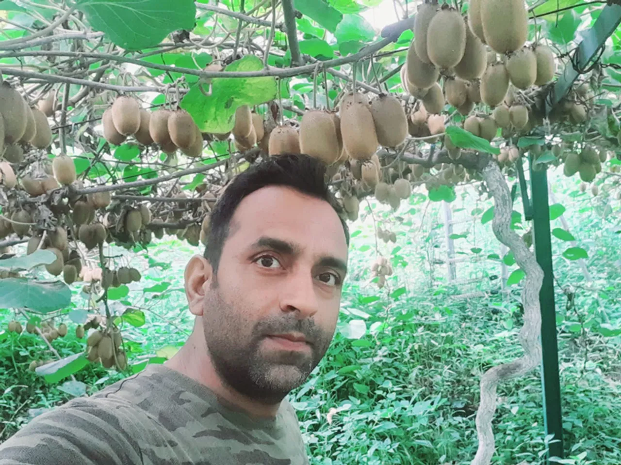 This MBA quit Wipro for organic kiwi farming in Himachal; turns barren land into profitable orchard 