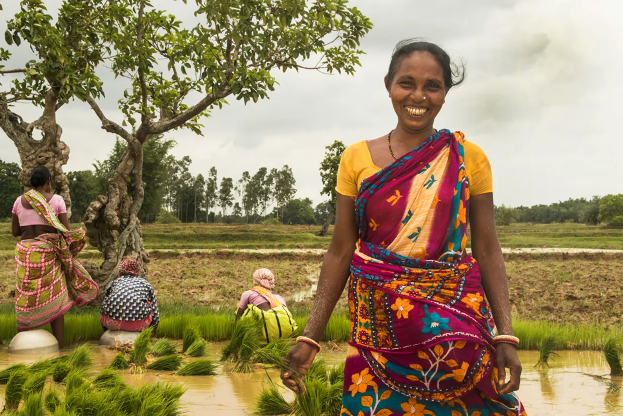 Aamon: Tribal women in violence-hit Bengal province triple incomes with organic rice; revive traditional varieties