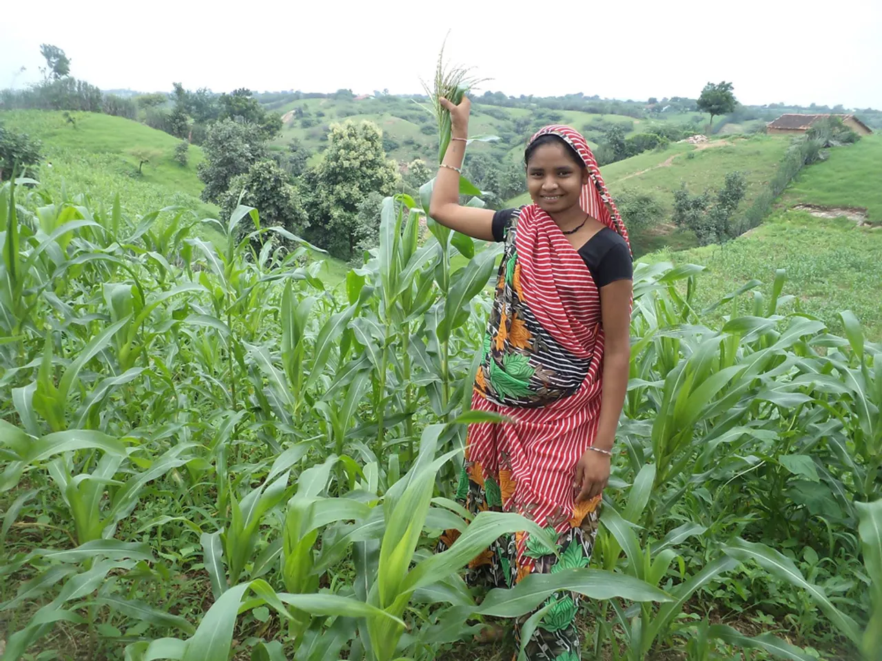 Rajasthan: Women turn entrepreneurs and earn in lakhs thanks to microcredit