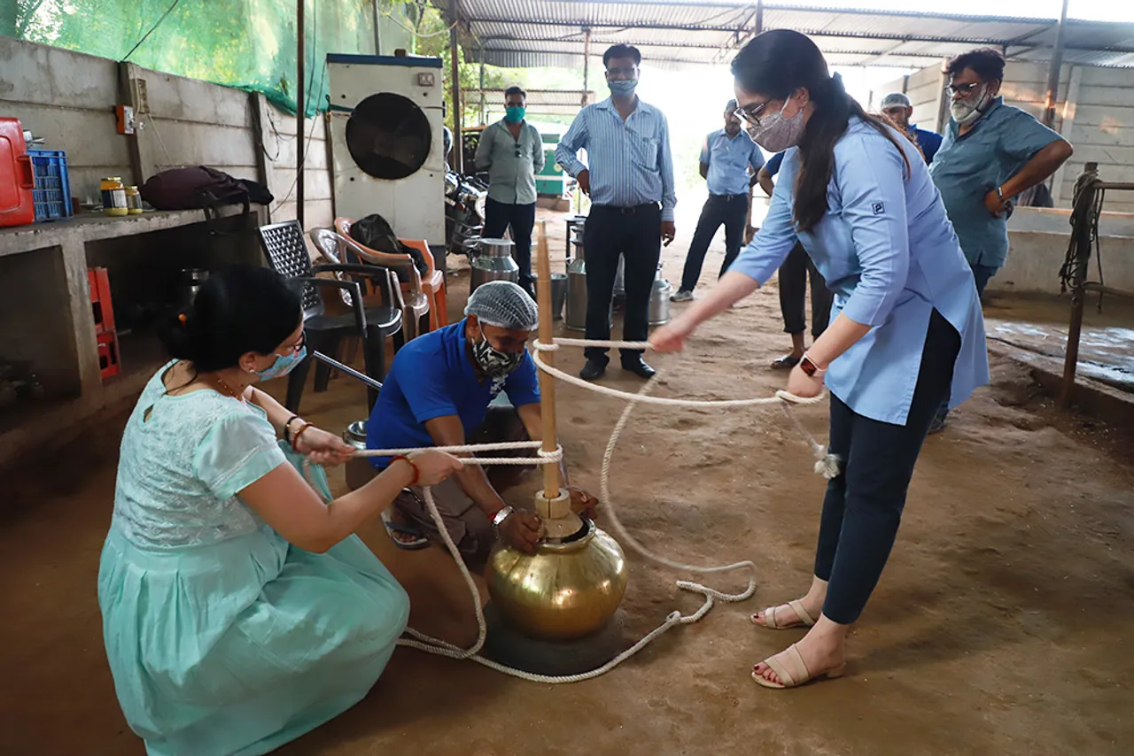 Gujarat: How this lawyer-turned-organic farmer made her family's dairy business profitable