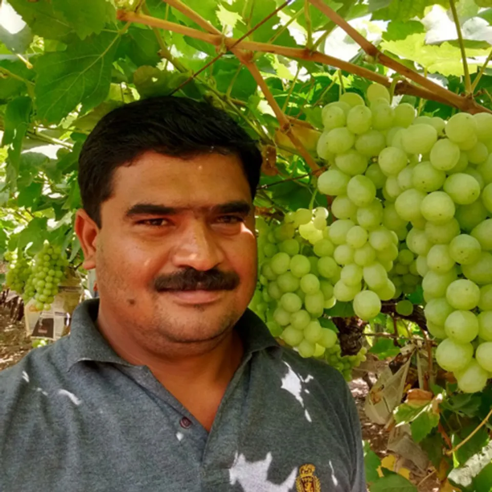 Residue-free farming: How Nashik’s millionaire grape farmer uses technology to get a yield of 10 tonnes per acre
