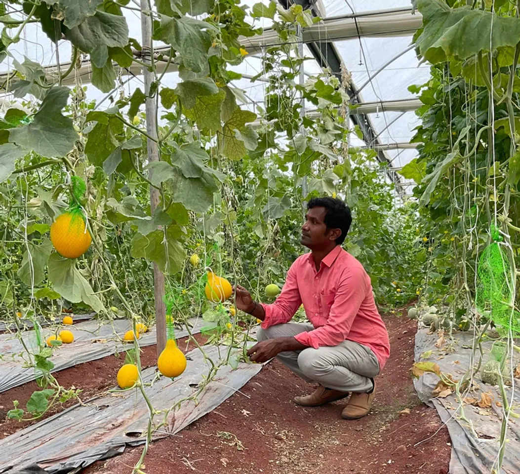 Telangana techie-turned-farmer earns millions from organic farming