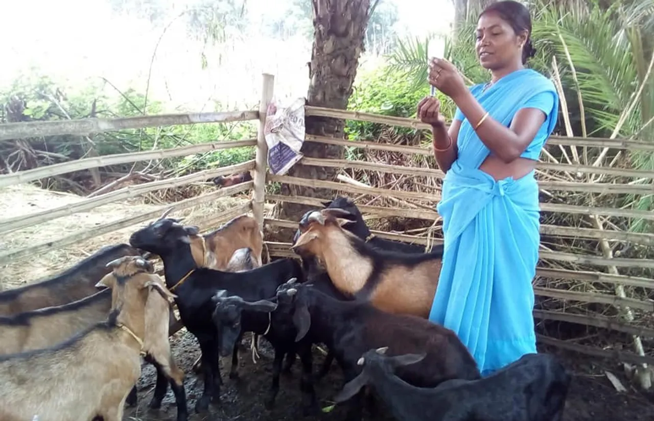 In shortage of vets, Pashu Sakhis support cattle & poultry farmers in Jharkhand’s tribal hinterland