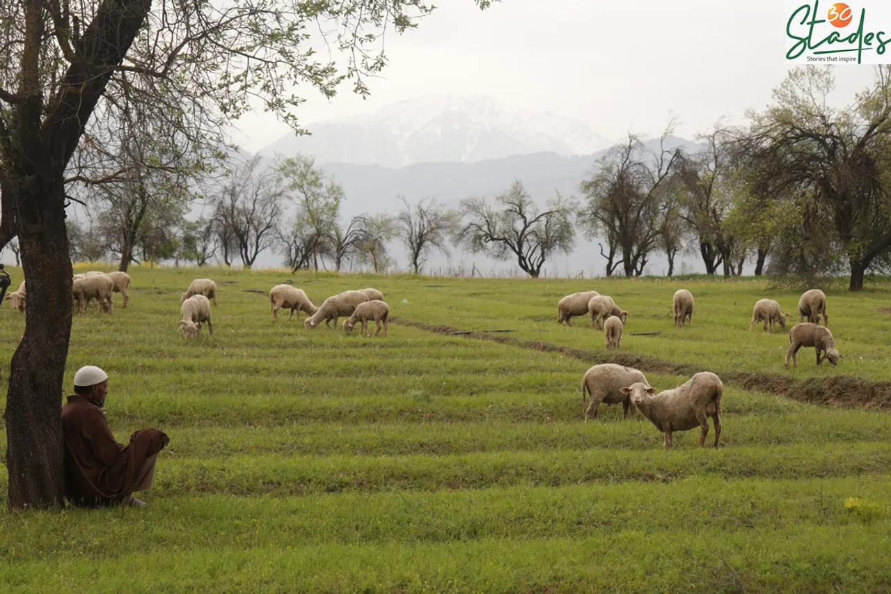 Kashmir’s beauty in pictures in times of Coronavirus