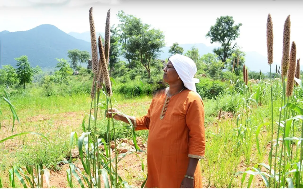 Karnataka’s MA, LLB woman trains 2,000 farmers in organic farming; helps schools to set up kitchen gardens for mid-day meals