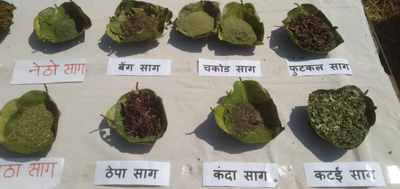 From ragi momos to snails, how tribal food is becoming the ambassador for Jharkhand’s indigenous culture