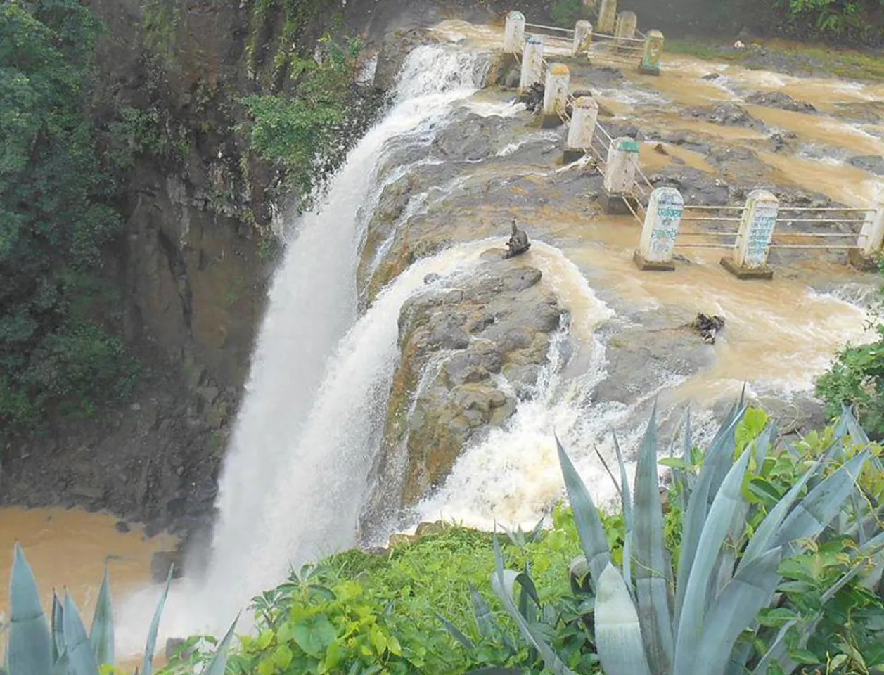 Mainpat: The Shimla of Chhatisgarh where water flows upwards