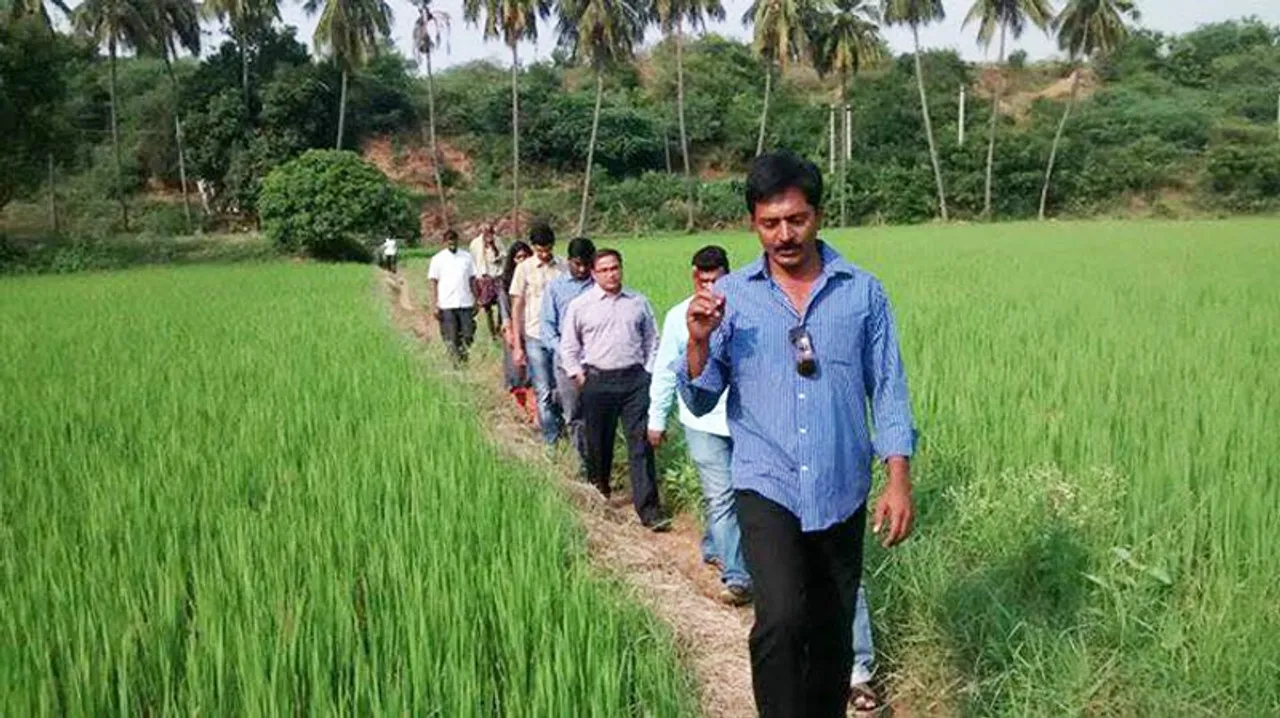 Andhra farmer gets triple the market rates for mango & paddy with zero-cost natural farming