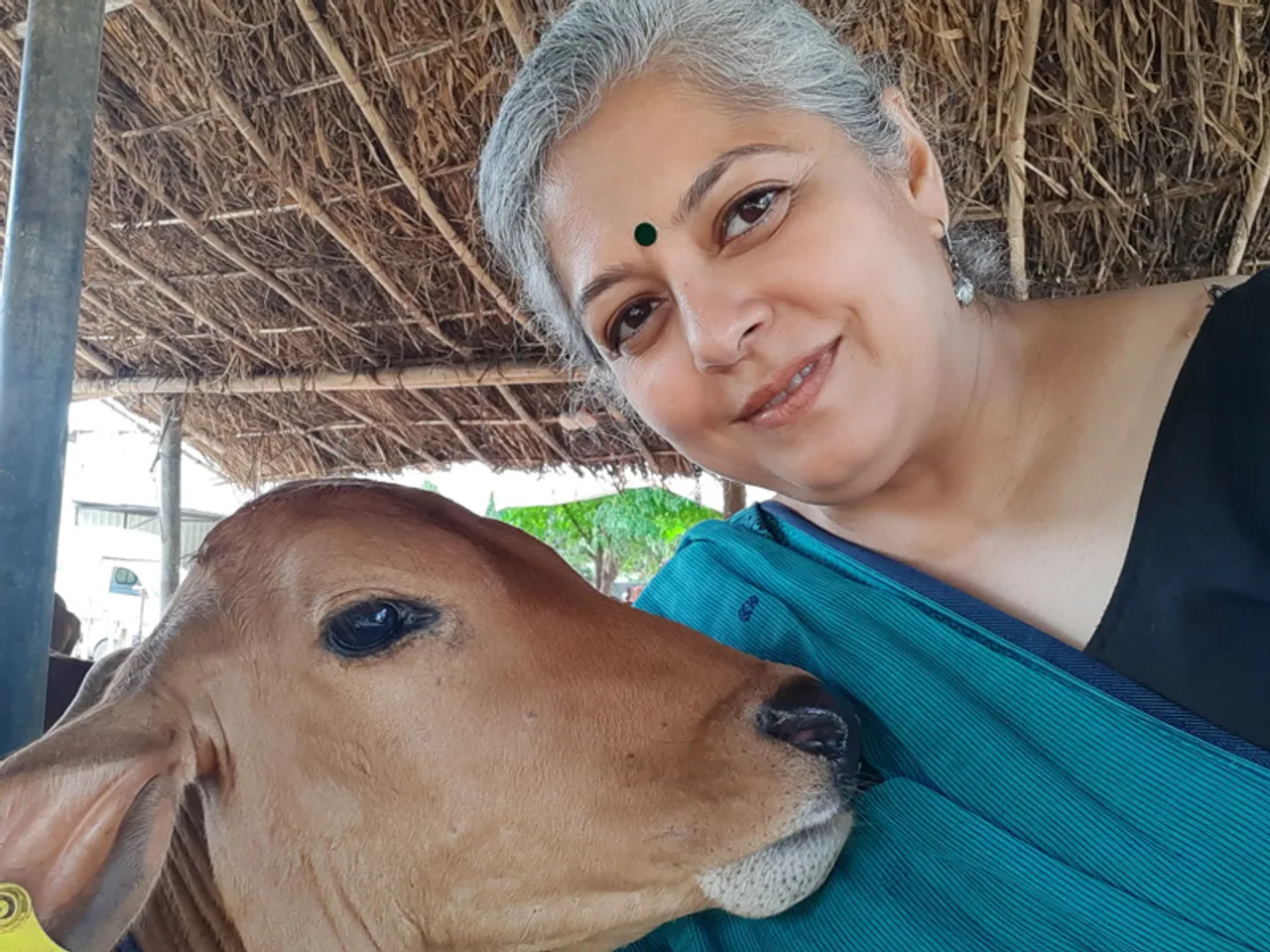 From German language teacher to millionaire dairy farmer, how Milan Sharma whipped up a success story