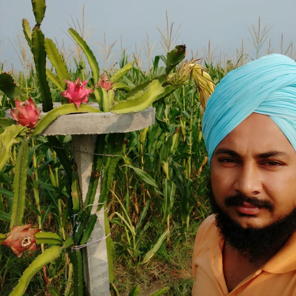 Organic farming of dragon fruit and lemon triples Punjab farmer’s income