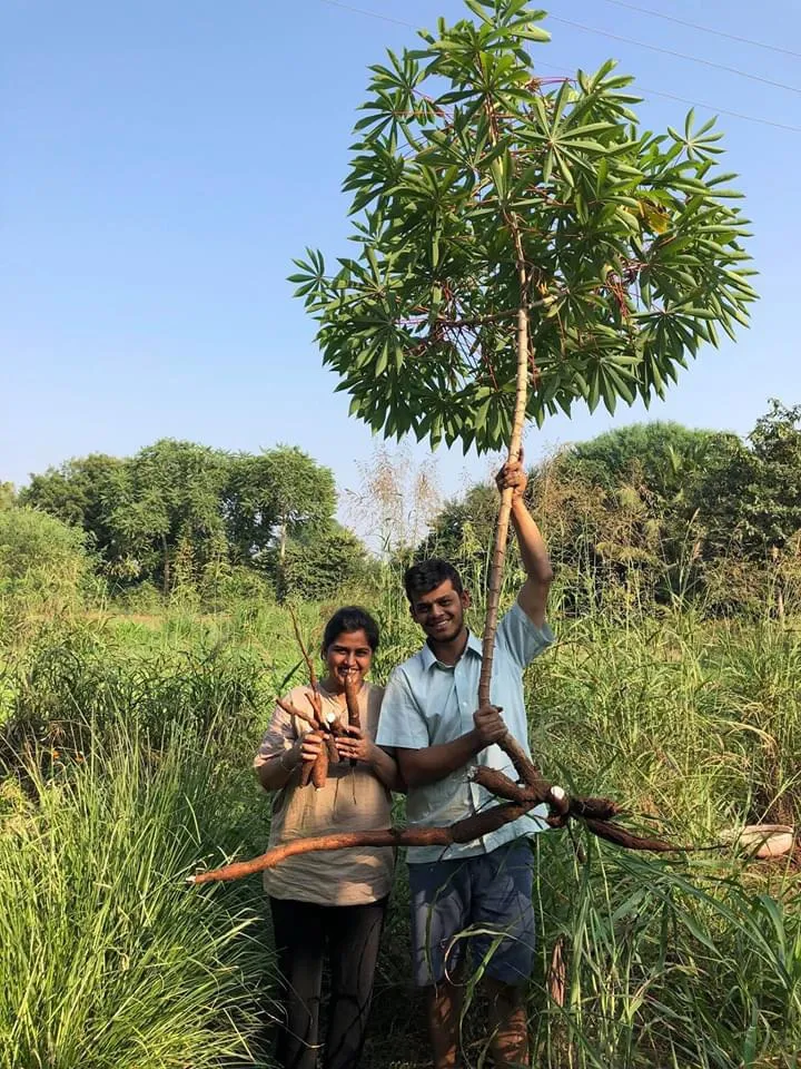 Environment: Gujarat couple quits US jobs to build own food forest; creates orchards & gardens for others