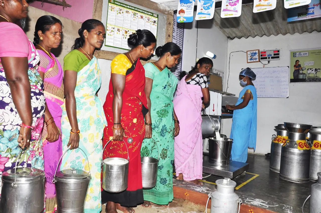 How all-women dairy Shreeja has created one lakh milk entrepreneurs in Andhra Pradesh