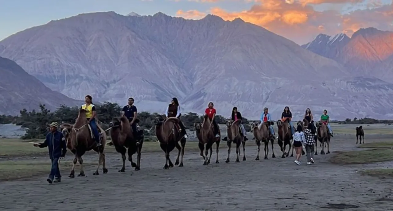 Ladakh: Tourism gives a new lease of life to critically endangered double-humped camel