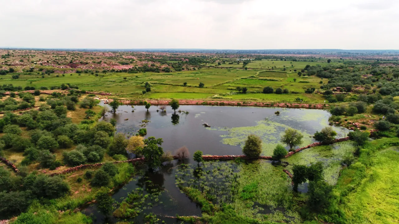 Water conservation in rural Rajasthan increases farming incomes four times; checks migration