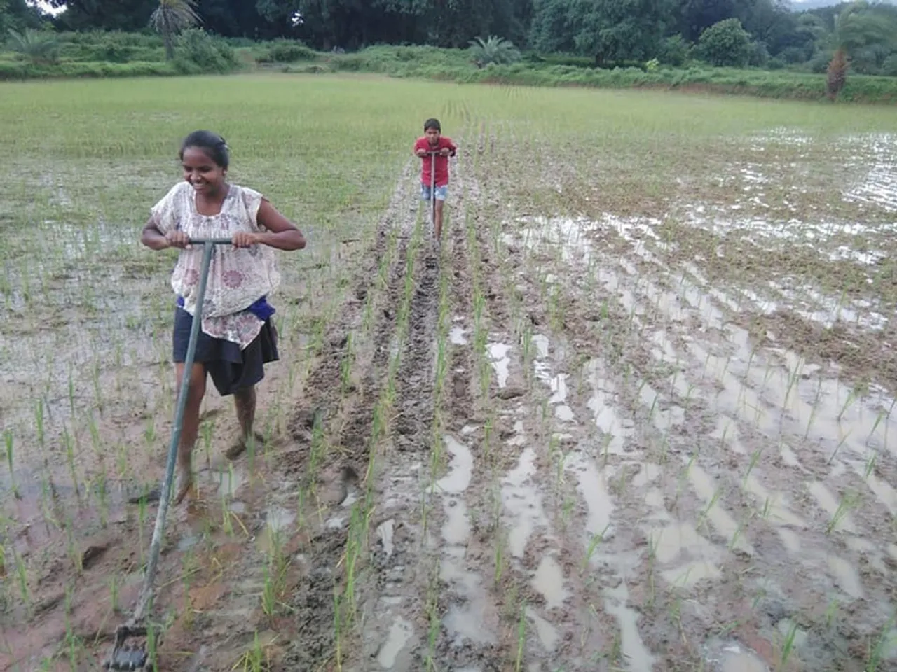 Chhattisgarh: 3,000 farmers in violence-hit Dantewada overcome poverty through collective power of Bhoomgaadi