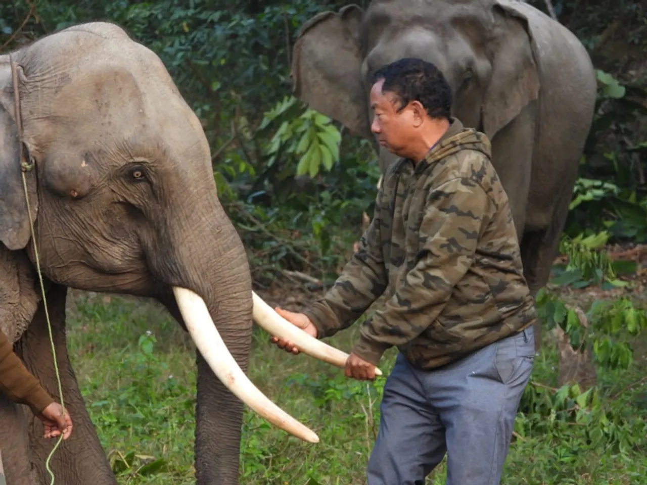 Tana Tapi: Forest officer who transformed poachers into protectors at Arunachal’s Pakke Tiger Reserve