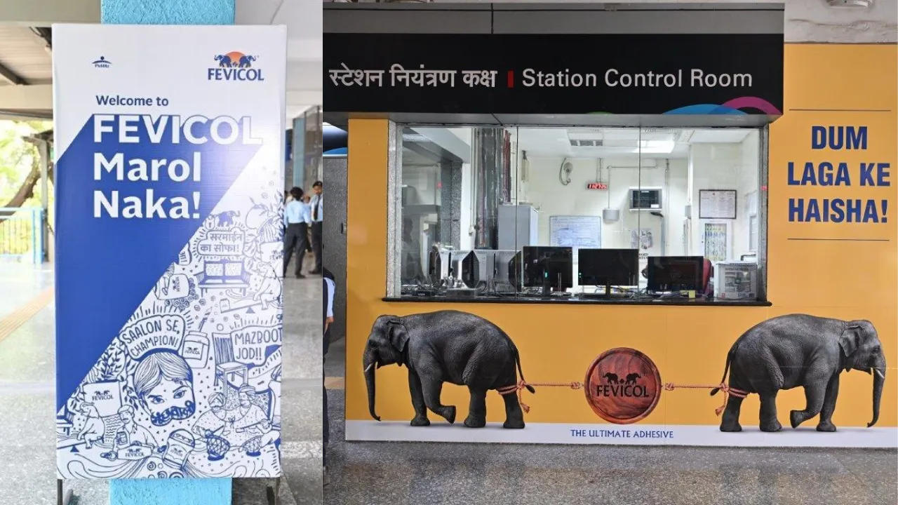 fevicol mumbai